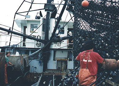 Photo of the working deck on a surf clam boat