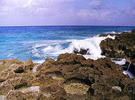 Photograph of coral rock shore