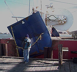 Dyrsten's trawl door image
